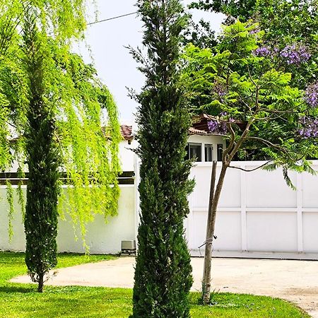 Apartmán Seaside Jacaranda Schinias Exteriér fotografie