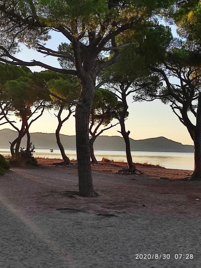 Apartmán Seaside Jacaranda Schinias Exteriér fotografie