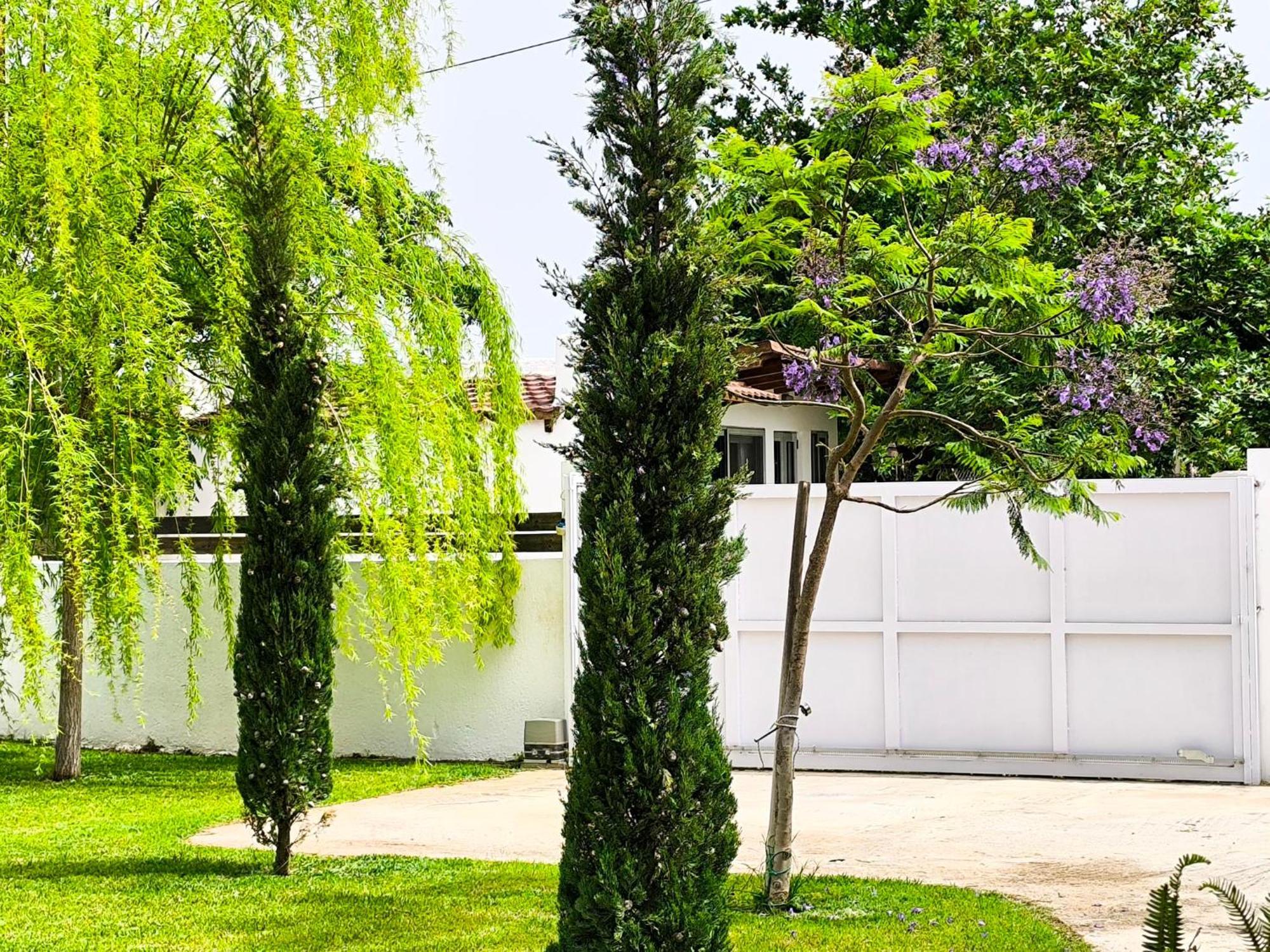 Apartmán Seaside Jacaranda Schinias Exteriér fotografie